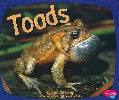 Amphibians Toads