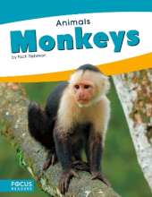 Monkeys