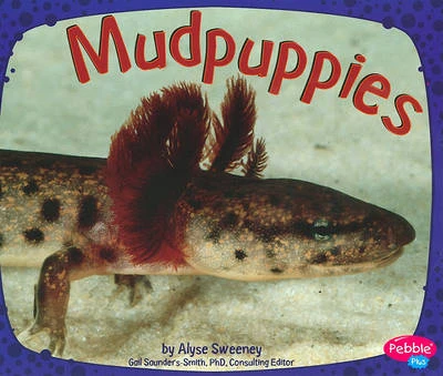 Mudpupples