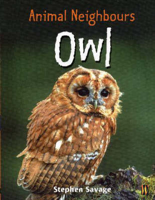British Animals: Owl