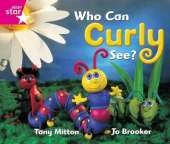 Rigby Star Guided Reception/P1 Pink Level Guided Reader Set