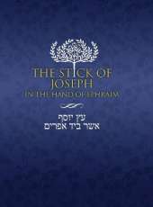 The Stick of Joseph in the Hand of Ephraim: Large Print