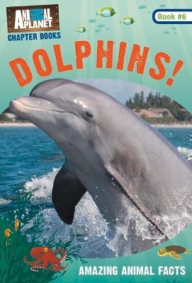 Dolphins!: Book #6