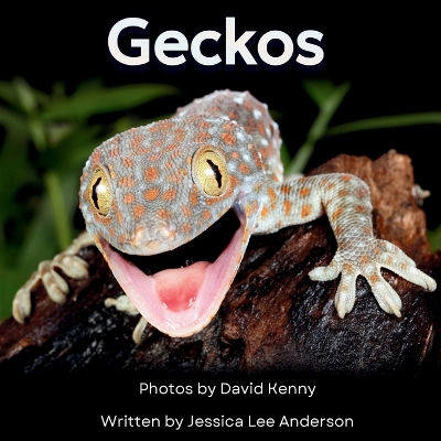 Geckos: Get to Know More About These Vocal Lizards!
