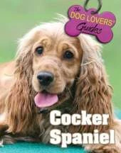 Cocker Spaniel