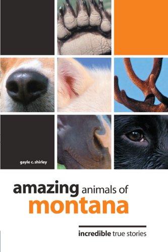 Amazing Animals of Montana: Incredible True Stories