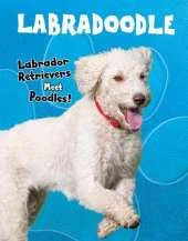 Labradoodle: Labrador Retrievers Meet Poodles!