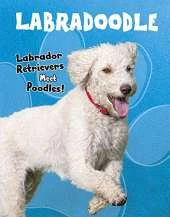 Top Crossbreed Dogs Pack A of 2