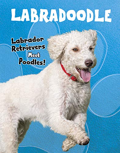 Top Crossbreed Dogs Pack A of 2