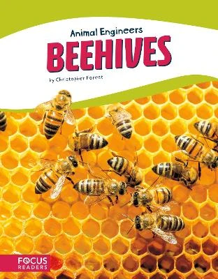 Animal Engineers: Beehives