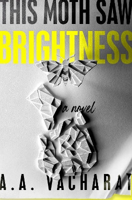 This Moth Saw Brightness