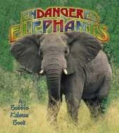 Endangered Elephants