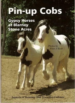 Pin-Up Cobs: Gypsy Horses at Blarney Stone Acres