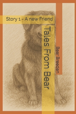 Tales From Bear: A new Friend