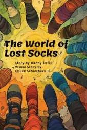 The World of Lost Socks