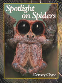 Spotlight on Spiders
