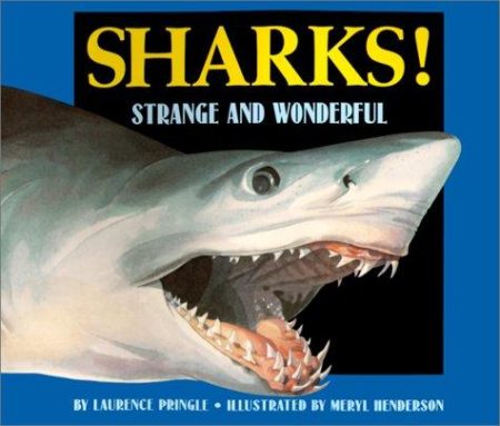 Sharks!