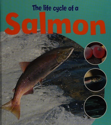 Learning About Life Cycles: The Life Of A Salmon