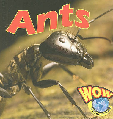 Ants