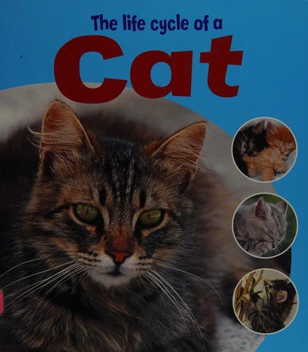 Learning About Life Cycles: The Life Cycle of A Cat