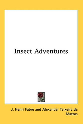 Insect Adventures
