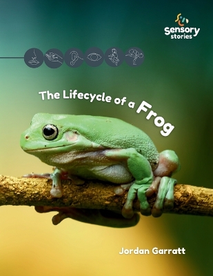 The Lifecycle of a Frog: A Sensory Story