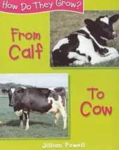How Do They Grow: Calf To Cow