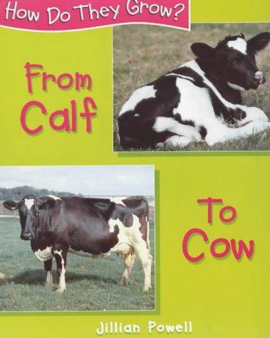 How Do They Grow: Calf To Cow
