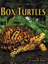 Box Turtles