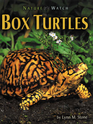 Box Turtles