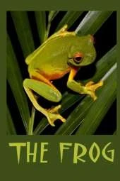 The Frog: The life of a frog.
