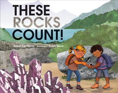 These Rocks Count