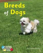 Breeds of Dogs (Pack 6)
