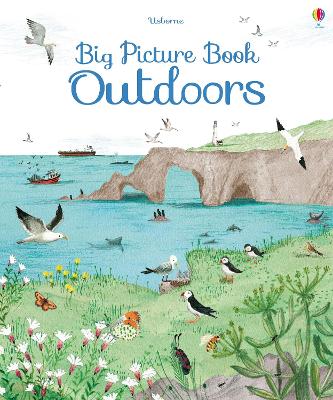Big Picture Book of Outdoors