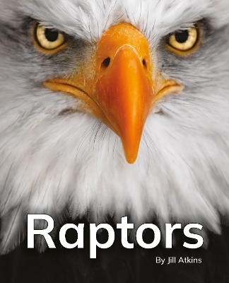 Raptors: Phonics Phase 5