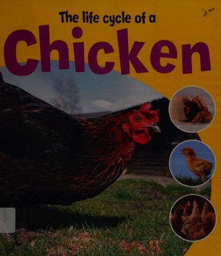 Learning About Life Cycles: The Life Cycle of A Chicken