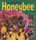Learning About Life Cycles: The Life Cycle Of A Honeybee