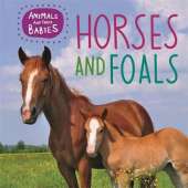 Animals and their Babies: Horses & foals