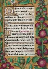 Carnet Blanc, Heures Anne de Bretagne, Roses