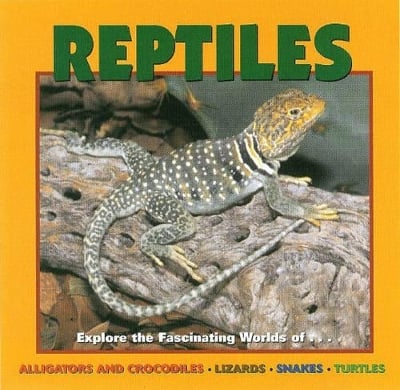 Reptiles: Alligators and Crocodiles, Lizards, Snakes and Turtles