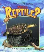 What is a Reptile?