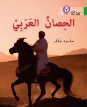 The Arabian Horse: Level 5