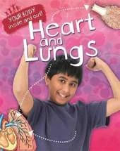Heart and Lungs