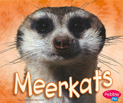 Meerkats