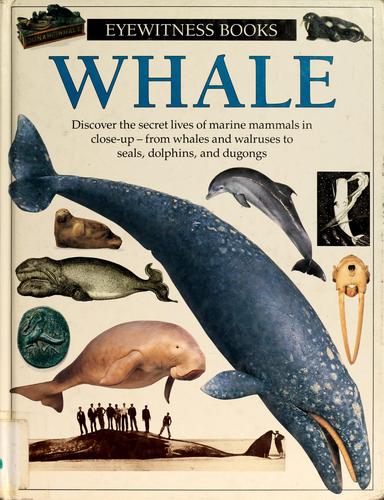 Whale