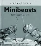 Read Write Inc. Comprehension: Module 24: Children's Books: Mini Beasts Pack of 5 books