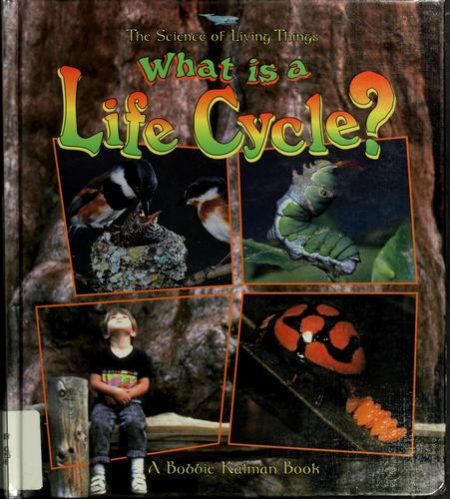 What Is A Life Cycle?
