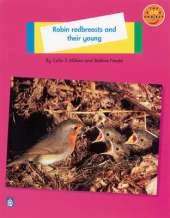 Robin Redbreast and their young Non-Fiction 1