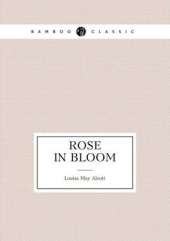 Rose in Bloom