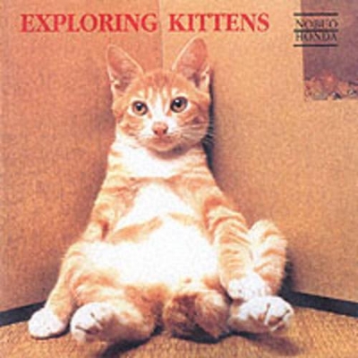 Exploring Kittens